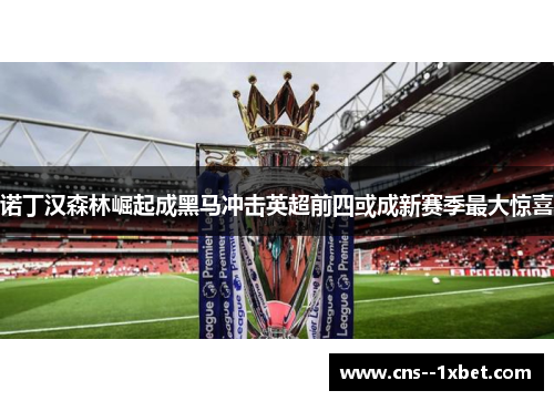 诺丁汉森林崛起成黑马冲击英超前四或成新赛季最大惊喜